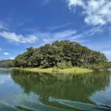 Periyar National Park Idukki 